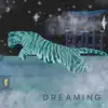 The Twits - Dreaming - Single